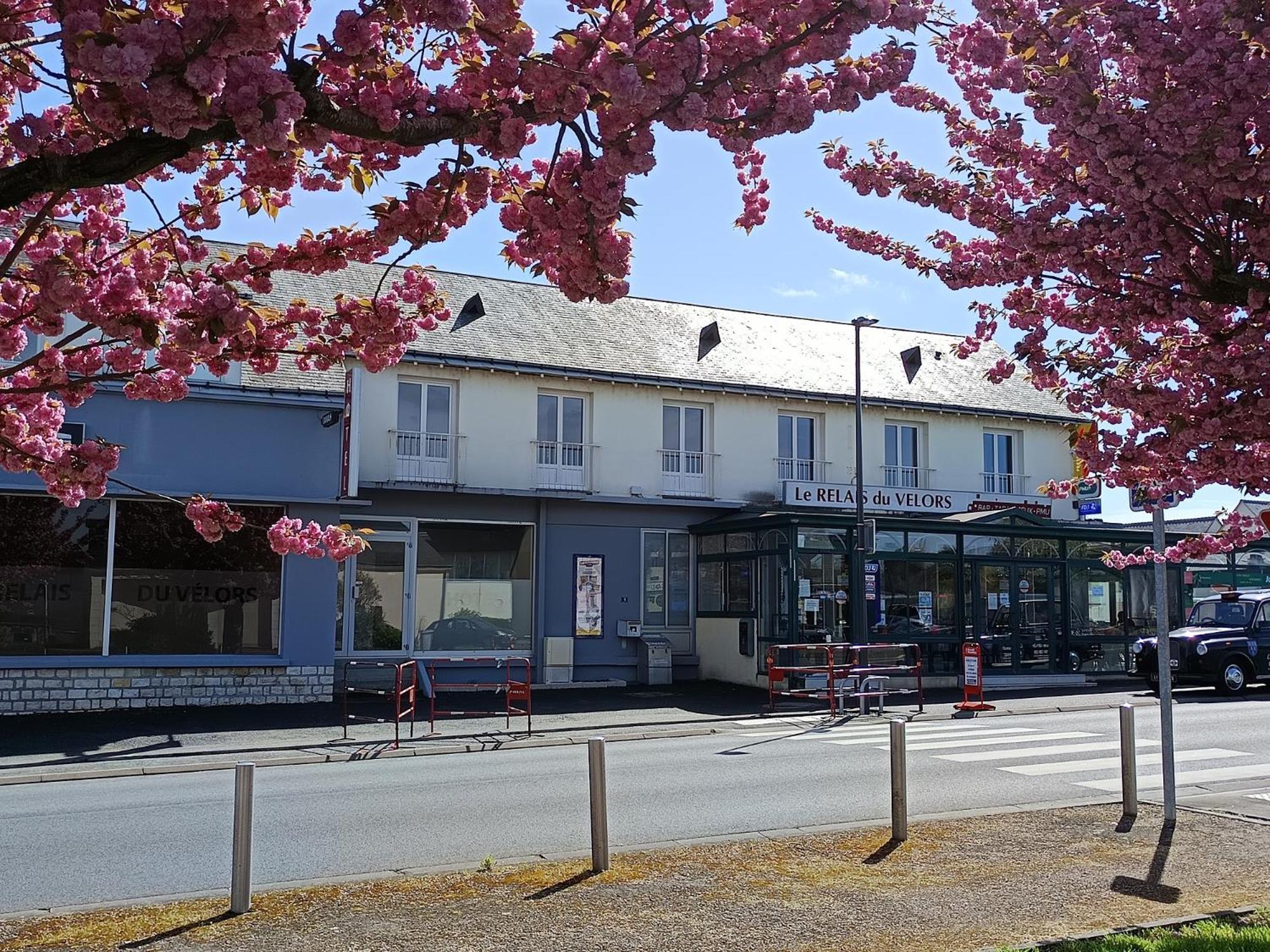 Hotel Le Relais Du Velors Beaumont-en-Véron Exterior foto